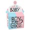 Big Dot of Happiness Baby Gender Reveal - Treat Box Party Favors - Team Boy or Girl Party Goodie Gable Boxes - Set of 12